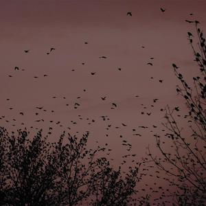 殴美在线一区二区
